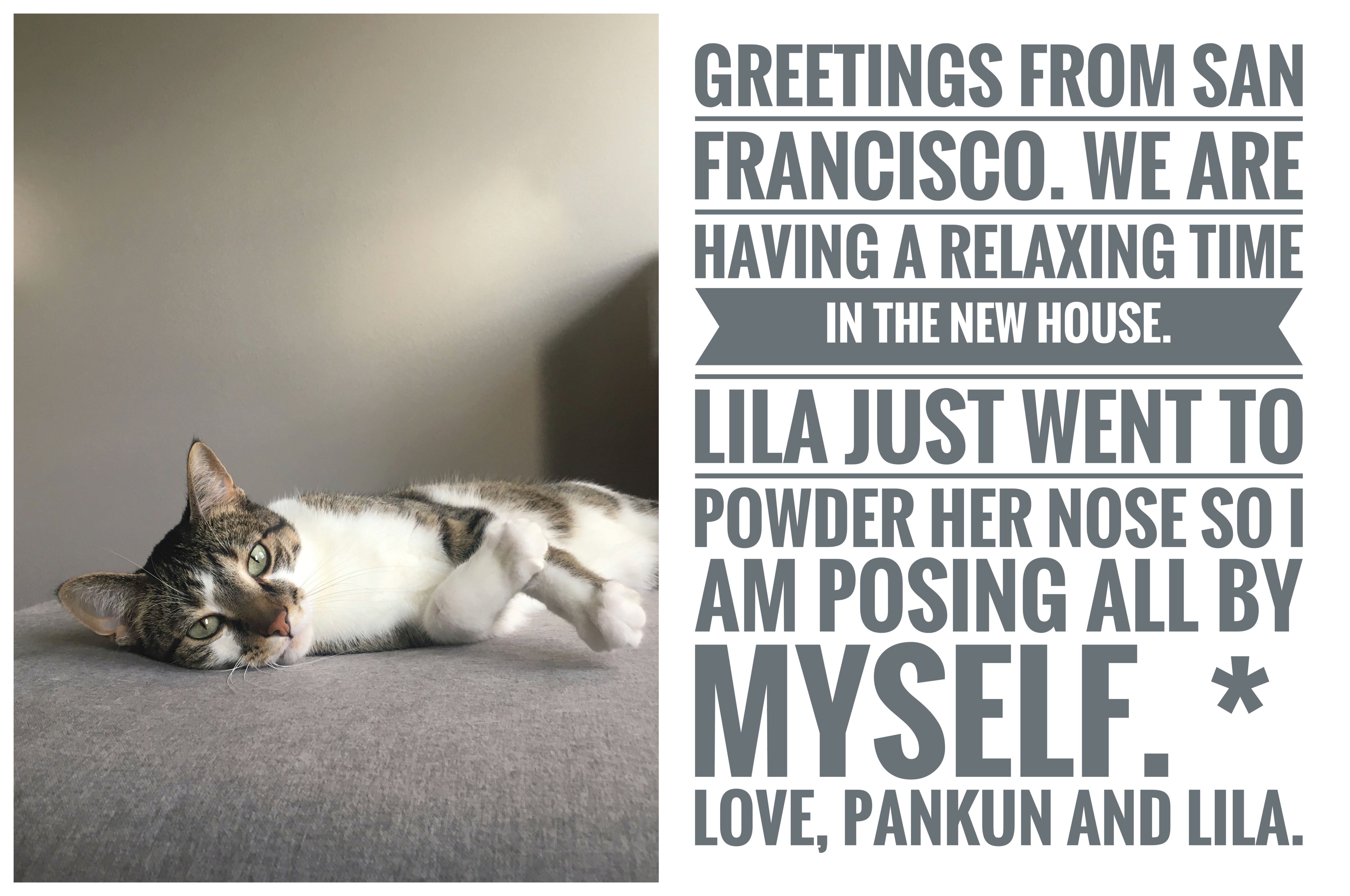 over7seas_rover_petsitting_housesitting_greetingcard_IMG_1221