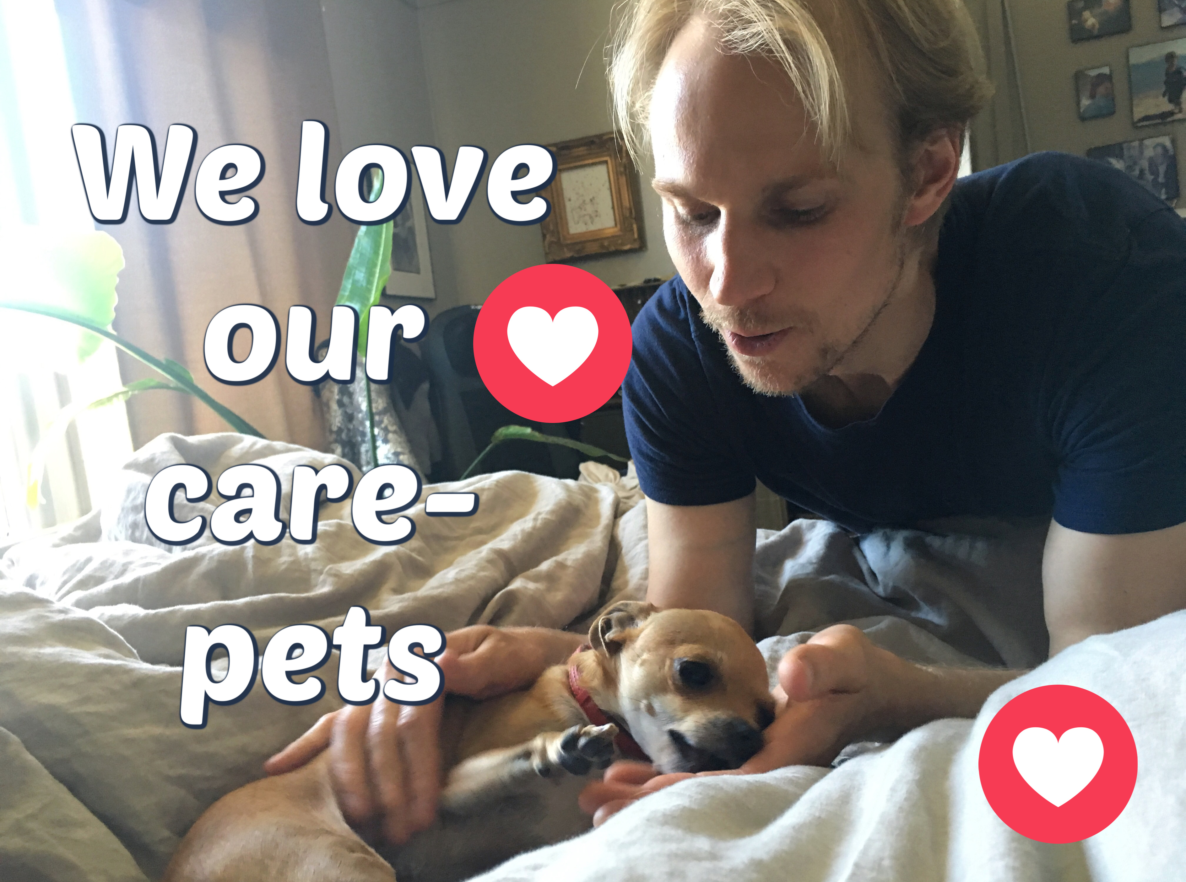 Rover_petsitting_housesitting_trustedhousesitters_deubner_over7seas_IMG_1946